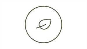 Bigster без дополнителни трошоци при купување