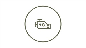 Bigster - без поврзување со полначот